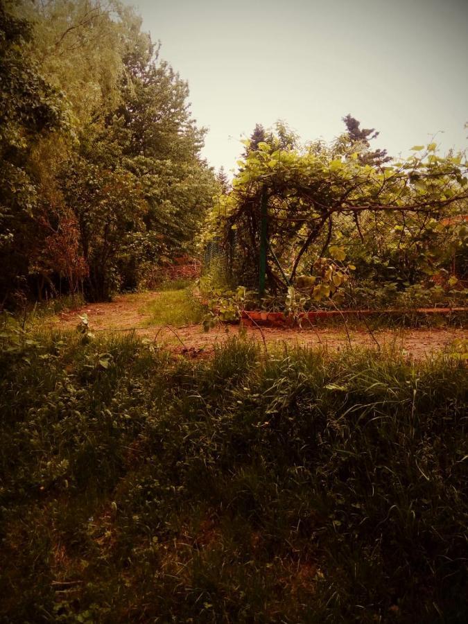 Agroturystyka U Babci Czchow Exterior photo