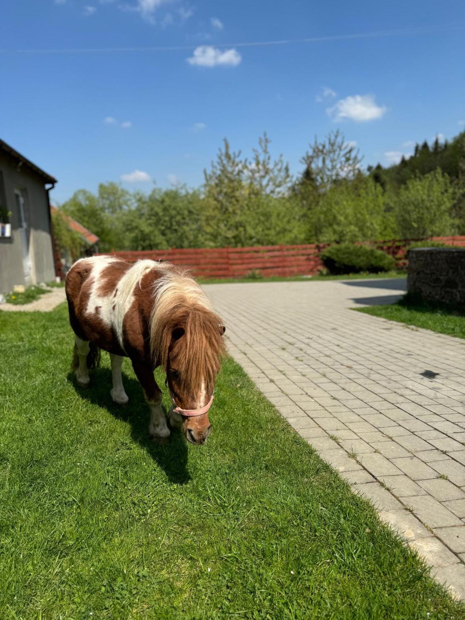 Agroturystyka U Babci Czchow Exterior photo